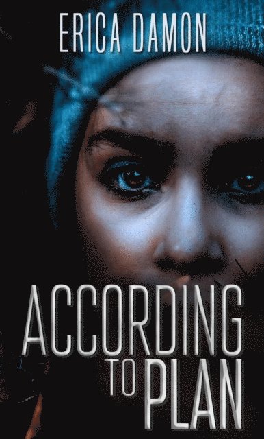 Erica Damon - According to Plan, E-bok
