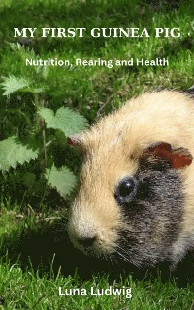 Luna Ludwig - MY FIRST GUINEA PIG, Nutrition, Rearing and Health, E-bok. Tillgänglighet: Lägg i varukorg