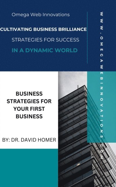 David Homer - Business Strategies for Your First Business, E-bok