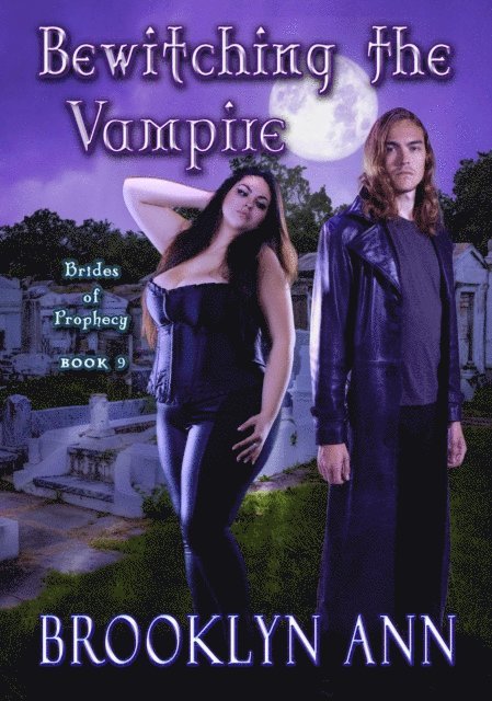 Brooklyn Ann - Bewitching the Vampire, E-bok