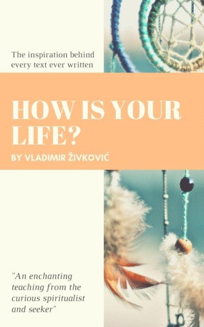 Vladimir Zivkovic - How Is Your Life?, E-bok