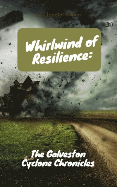 aarat - Whirlwind of Resilience: The Galveston Cyclone Chronicles, E-bok. Tillgänglighet: Lägg i varukorg