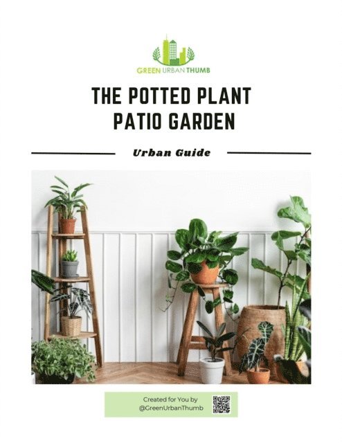 Potted Plant Patio Garden