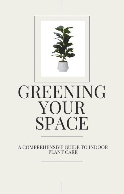 Greening Your Space - A Comprehensive Guide to Indoor Plant Care