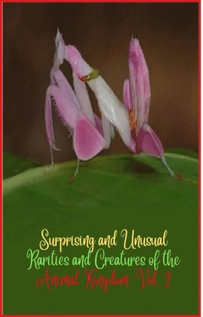 Zoila Camacho - Surprising and unusual rarities and creatures of the Animal Kingdom. Vol. 2, E-bok