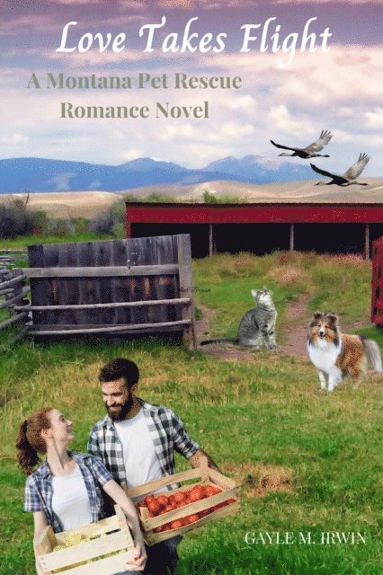 GAYLE M. IRWIN - Love Takes Flight, E-bok. Tillgänglighet: Lägg i varukorg