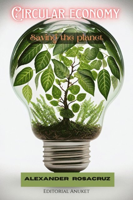 Alexander Rosacruz - Circular Economy, E-bok