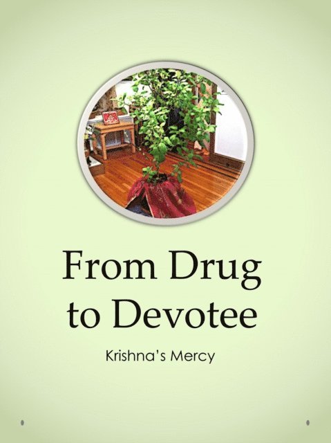 Krishna's Mercy - From Drug to Devotee, E-bok