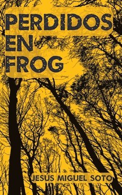 Jesús Miguel Soto - Perdidos en Frog, Häftad