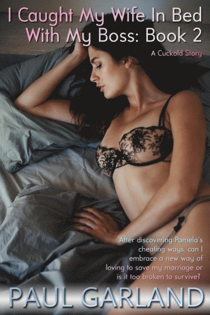 Paul Garland - I Caught My Wife In Bed With My Boss: Book Two, E-bok