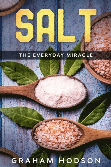 Graham Hodson - Salt - The Everyday Miracle, E-bok