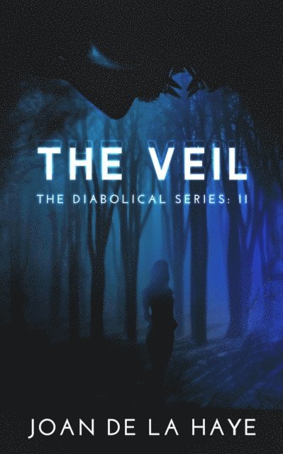 Joan De La Haye - Veil, E-bok. Tillgänglighet: Lägg i varukorg