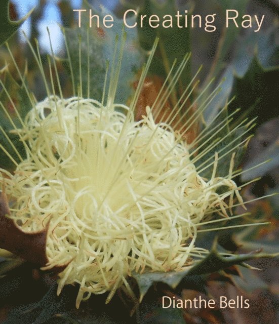 Dianthe Bells - Creating Ray, E-bok