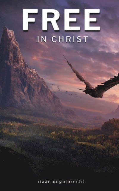 Riaan Engelbrecht - Free in Christ, E-bok