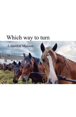 J Gordon Monson - Which Way to Turn, Häftad