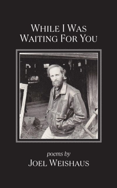 Joel Weishaus - While I Was Waiting for You, E-bok
