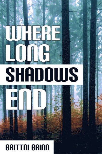 Brittni Brinn - Where Long Shadows End, E-bok
