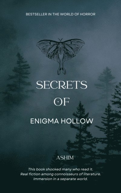 Ashim - Secrets of Enigma Hollow, E-bok