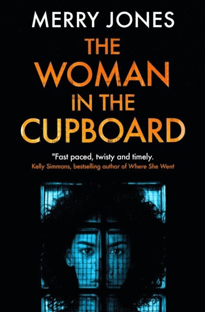 Merry Jones - Woman in the Cupboard, E-bok