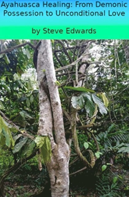 Stephen Edwards - Ayahuasca; From Demonic Possession to Unconditional Love, E-bok