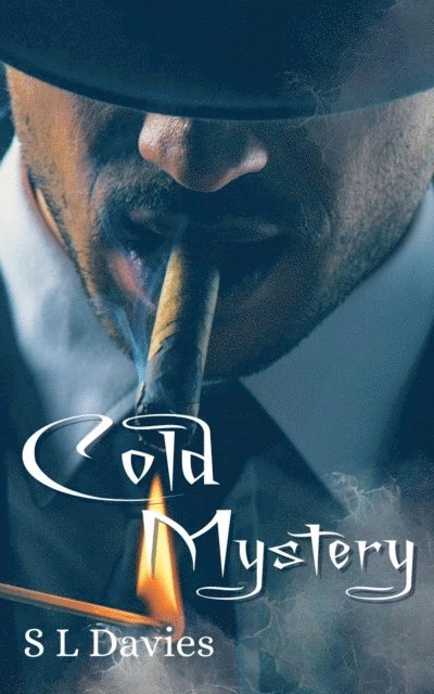 S L Davies - Cold Mystery, E-bok