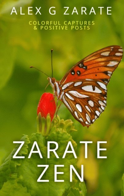Alex G Zarate - Zarate Zen - Colorful Captures & Positive Posts, E-bok