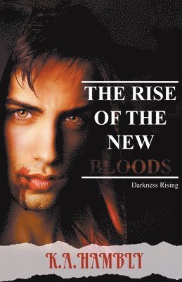 K A Hambly - Darkness Rising, Häftad