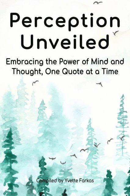 Yvette Farkas - Perception Unveiled, E-bok