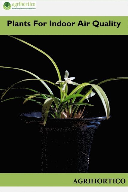Plants for Indoor Air Quality