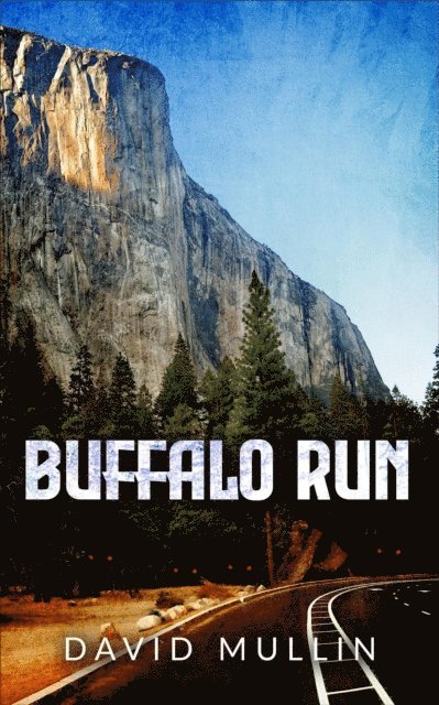 David Mullin - Buffalo Run, E-bok