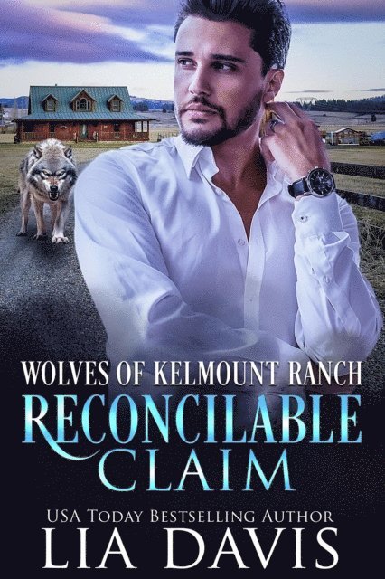 Lia Davis - Reconcilable Claim, E-bok