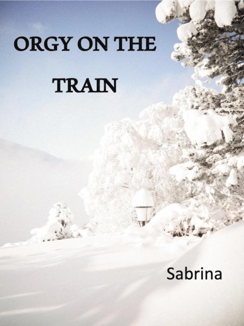 Sabrina - Orgy on the Train, E-bok