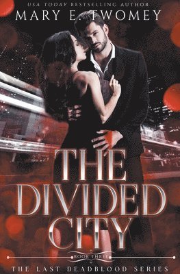 Mary E Twomey - Divided City, Häftad
