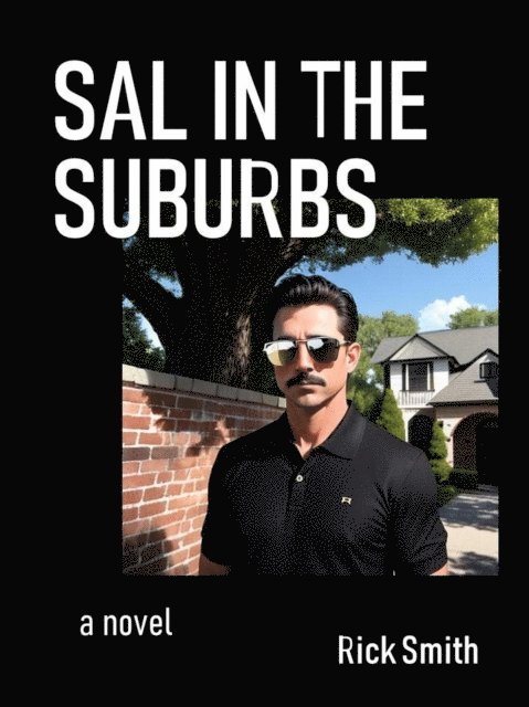 Rick Smith - Sal in the Suburbs, E-bok