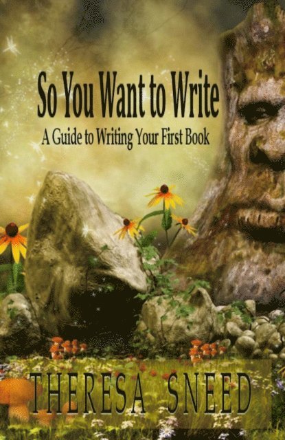 Theresa Sneed - So, You Want to Write, E-bok