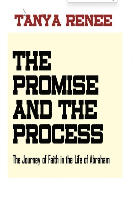 Tanya Renee - Promise and the Process, E-bok