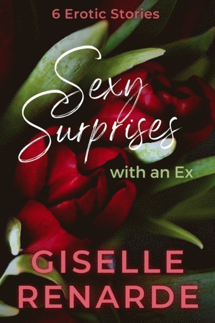 Giselle Renarde - Sexy Surprises with an Ex, E-bok