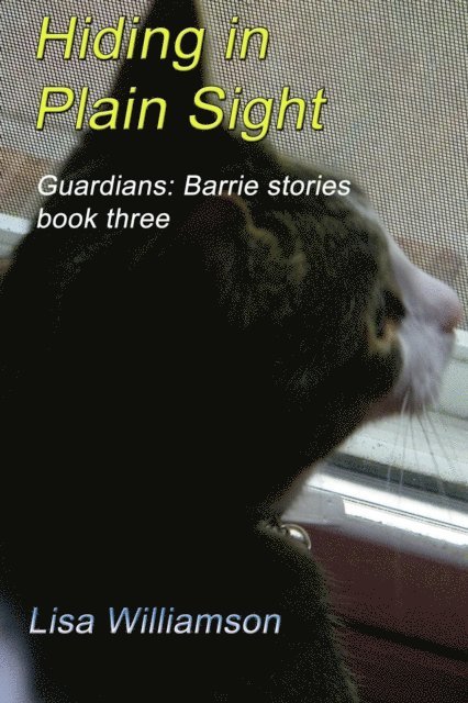 Lisa Williamson - Hiding in Plain Sight, E-bok