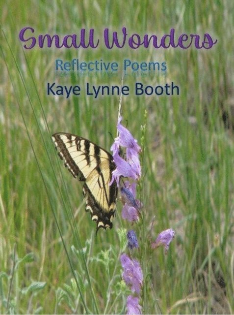 Kaye Lynne Booth - Small Wonders, E-bok