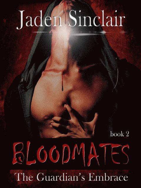 Jaden Sinclair - Guardian's Embrace, E-bok