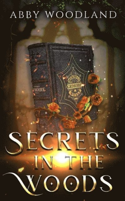 Abby Woodland - Secrets in the Woods, E-bok