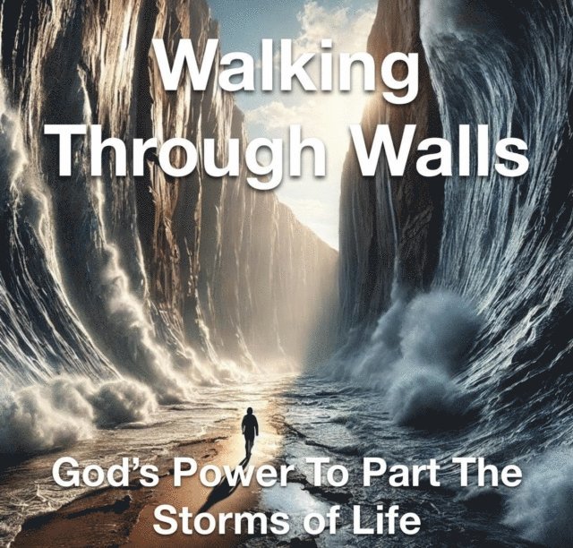 Joshua Rhoades - Walking Through Walls God's Power to Part the Storms of Life, E-bok
