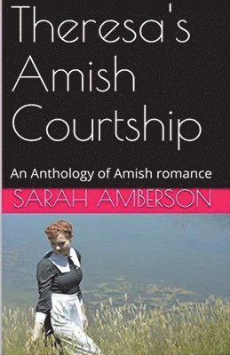 Sarah Amberson - Theresa's Amish Courtship, Häftad