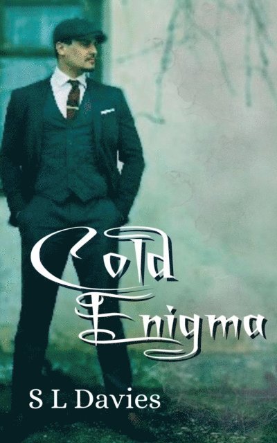 S L Davies - Cold Enigma, E-bok