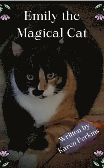 Karen Perkins - Emily the Magical Cat, E-bok