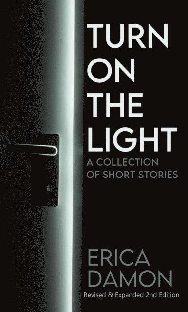 Erica Damon - Turn On The Light, E-bok