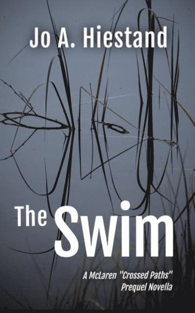 Jo A Hiestand - Swim, E-bok
