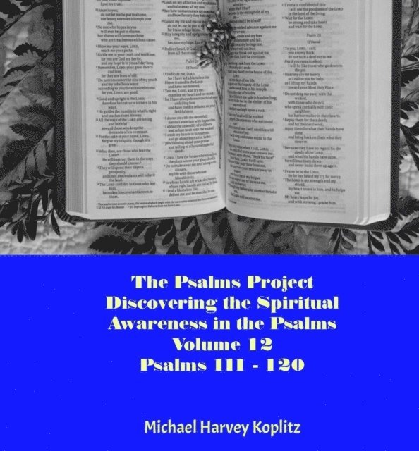 Michael Harvey Koplitz - Psalms Project Volume Twelve - Discovering the Spiritual World through the Psalms - Psalm 111 - 120, E-bok