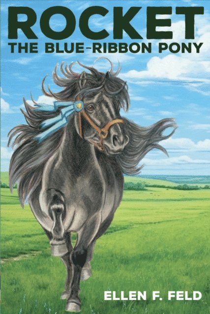 Ellen F. Feld - Rocket: The Blue-Ribbon Pony, Book 2, E-bok