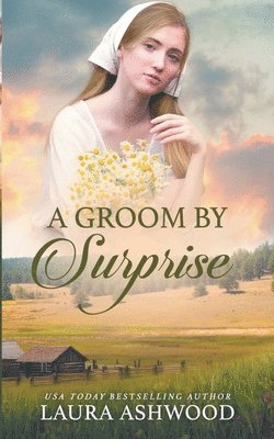 Laura Ashwood - Groom By Surprise, Häftad